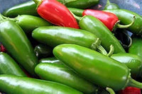 Jalapeno m pepper samen für fresh, spicy peppers