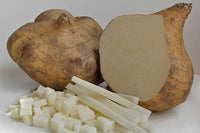 Braun Jicama Gemüse Planting Samen