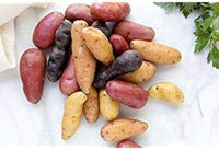 Fingerling Potato Mixed Gemüse Samen zum Pflanzen