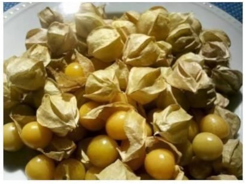 Tomatillo Husk Tomate Jamberry Kirsche Samen for Tangy, Sweet Fruits