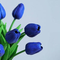 dunkel Blau Tulpe Blumensamen zur Aussaat Halbschatten verträglich Traditionssorte & ohne Gentechnik Samen Hausgarten
