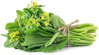 Green Choy Sum Gemüsesamen für einfache Aussaat