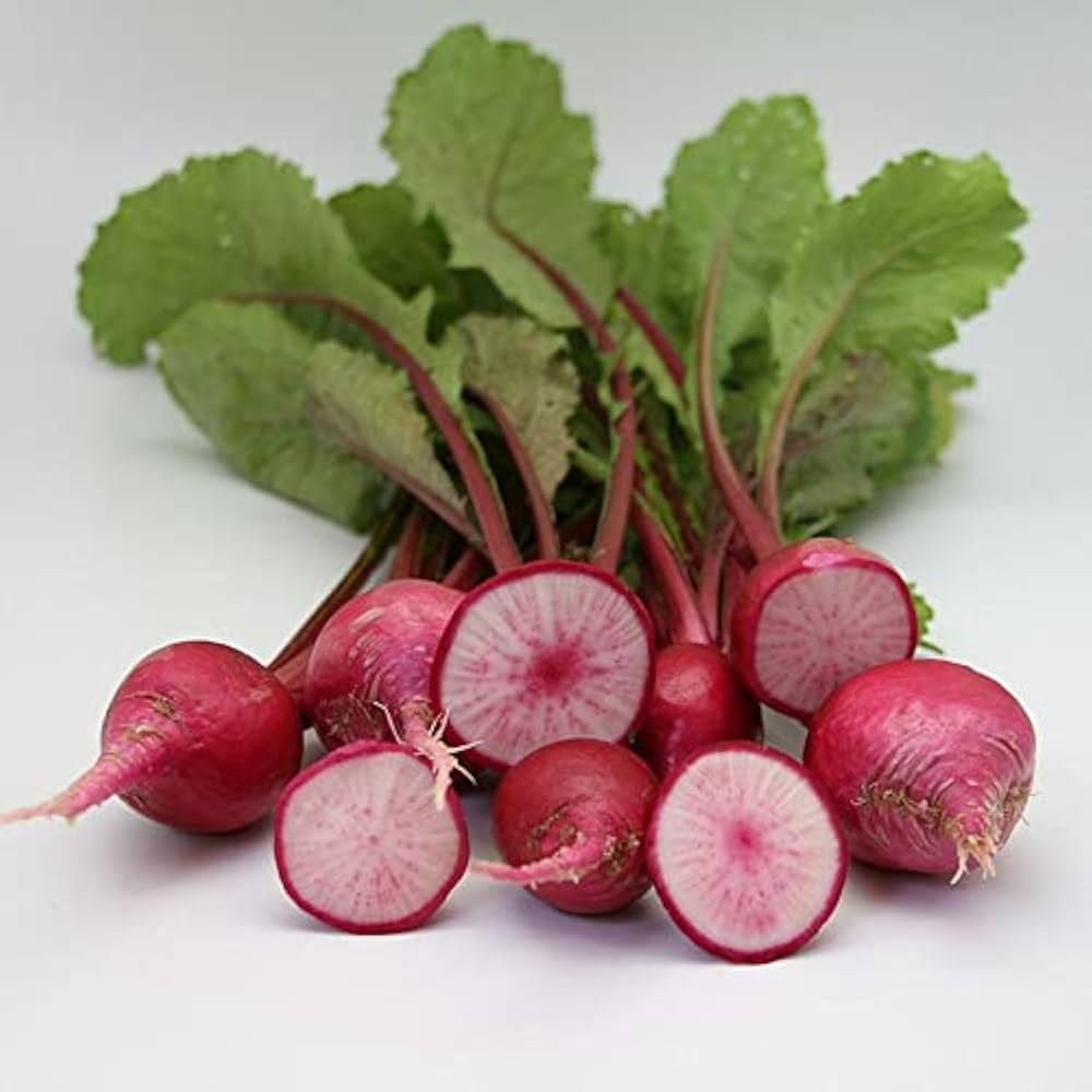 Rot Turnip Samen for Your Gemüse Garden