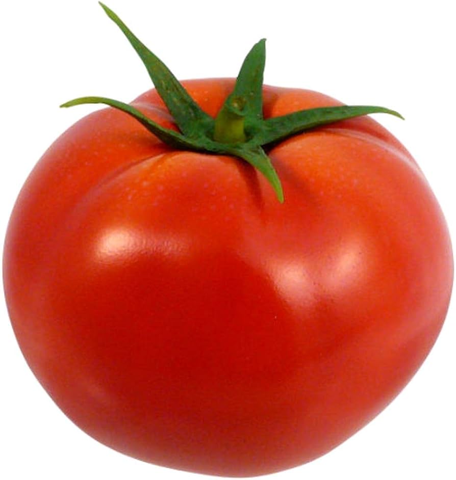 Homestead Tomate Solanum lycopersicum Samen zum Pflanzen - Ideal for Gemüse Patch & Urban Garden