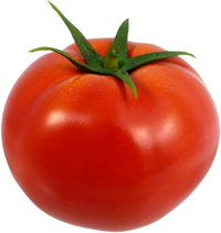 Homestead Tomate Solanum lycopersicum Samen zum Pflanzen - Ideal for Gemüse Patch & Urban Garden