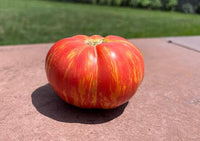 Striped tomato aussaat gemüse samen