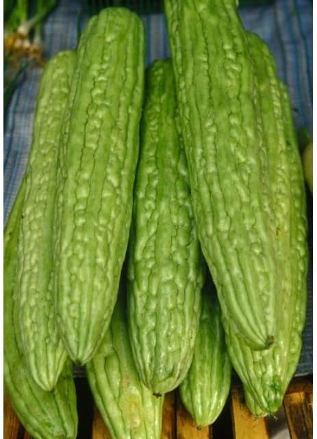 Bitter melon samen für healthy gemüse aussaat samen
