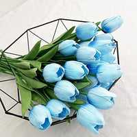 Himmelblau Tulpe Blumensamen zur Aussaat – robust Sorte Traditionssorte & ohne Gentechnik Samen Hausgarten