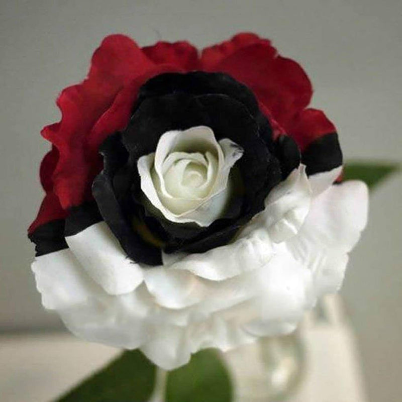 Splendid rare rot, weiß, and schwarz rose blume samen for anpflanzung - cottage garten essential, heirloom & gmo free samen for home garten
 
 sale for anpflanzung in home garten