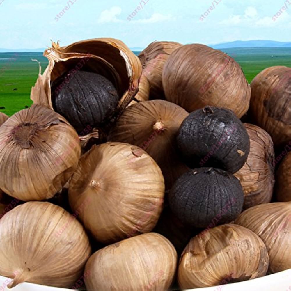 Schwarz Knoblauch Samen zum Pflanzen  Traditionell Gemüsesamen