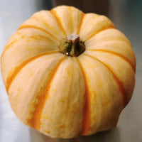 Gelb Pumpkin Gemüse Planting Samen