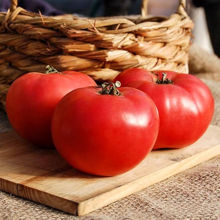Rot Rose Tomate Solanum lycopersicum Samen For Planting
