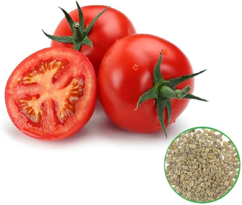 Better Boy Tomate Samen zum Pflanzen Home Gemüse Patch