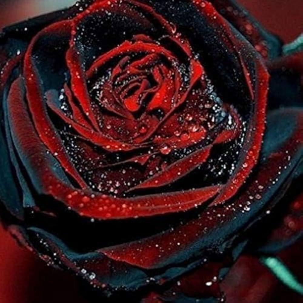 Multiple colors rose samen for vibrant, multi-hued garten blooms