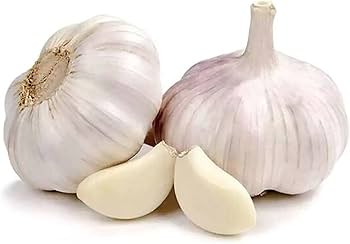 Knoblauch Samen for Gemüse Garden Planting