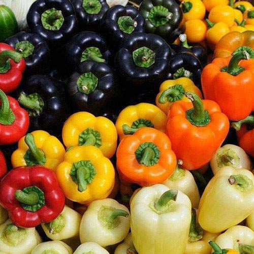 Bell Gemüsesamen - Perfect for Home Gardening