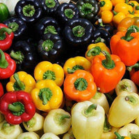 Bell Gemüsesamen - Perfect for Home Gardening