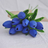 Blau Tulpe Blumensamen zur Aussaat – Traditionssorte ohne Gentechnik biologisch Garten Samen Keimung