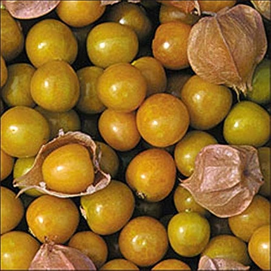 Pineapple Tomatillo Samen selten Gelb Fruits – Eastern European Sorte
