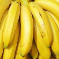 Bananensamen für einfaches Anpflanzen