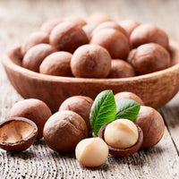Macadamia-Nüsse-braune Schale Fruchtsamen für einfaches Anpflanzen
