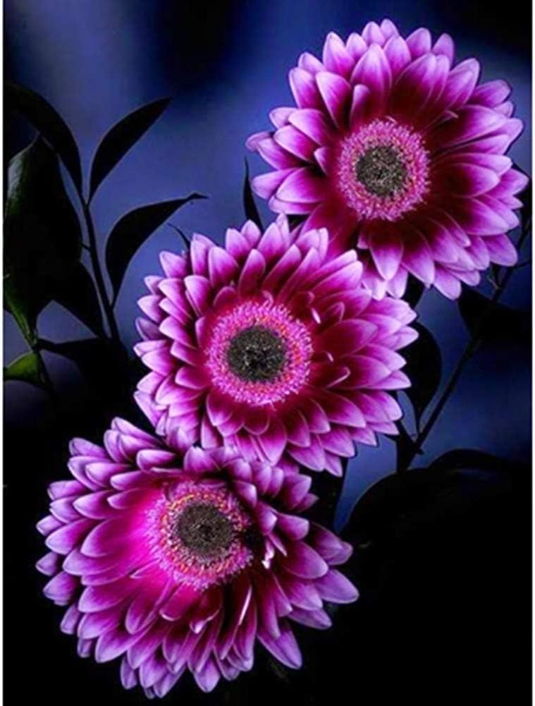 Lila sunflower samen - enchanting blooms for your garten best selling