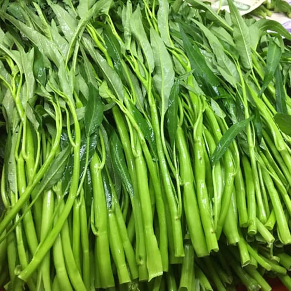 Kalmi Saag Gemuese Samen