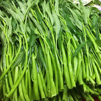 Kalmi Saag Gemuese Samen