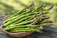Green Wild Asparagus Samen zum Pflanzen