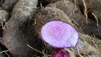 Dioscorea Alata Samen for Gemüse Gardening and Planting