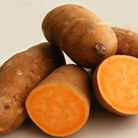 Braun Orange Süßkartoffel Samen zum Pflanzen  Perfect for Your Garden