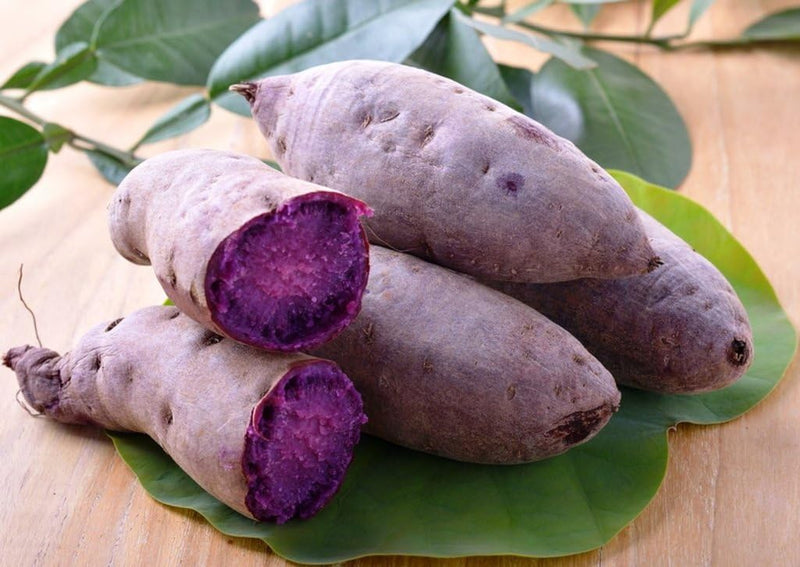 Süße potato gemüse samen aussaat lila