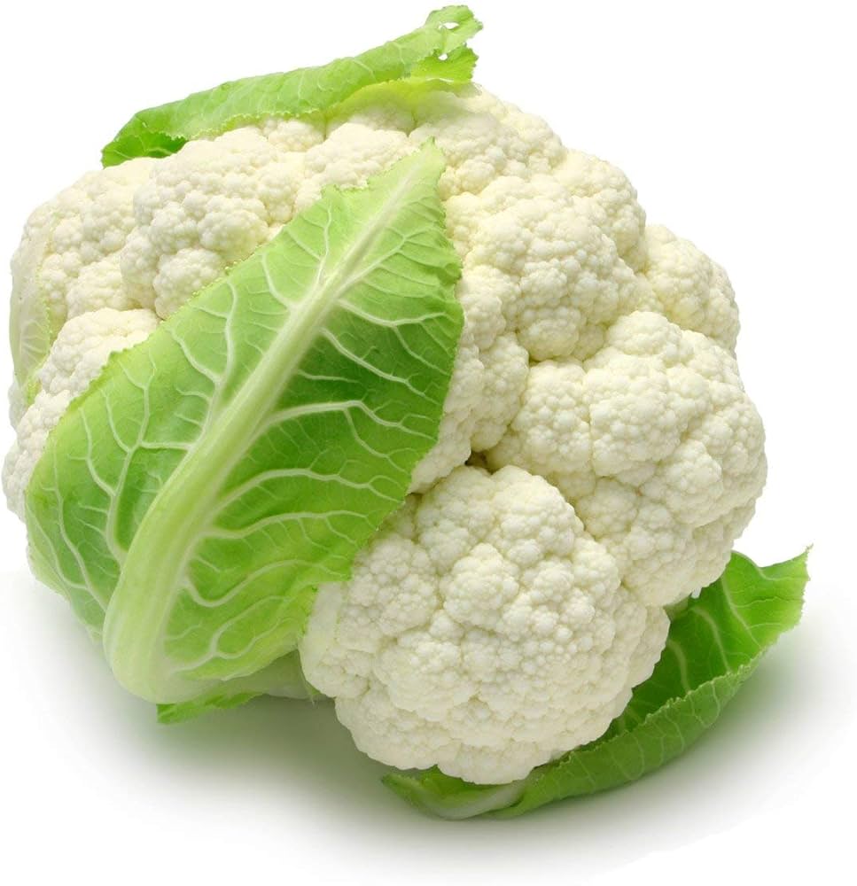 Snowball Cauliflower Brassica oleracea Samen zur Aussaat kitchen Garten cool Saison Beet