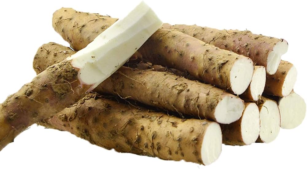 Yam Gemüsesamen for Home Gardening