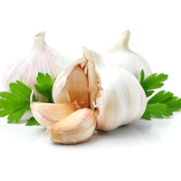 Knoblauch Samen for Gemüse Garden Planting