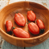 San Marzano Tomate Samen for Authentic Italian Tomatees