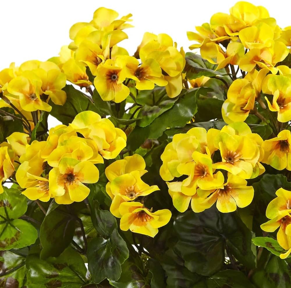 Gelb Pelargonium Blumensamen zur Aussaat – Wildblume Mischung – Traditionssorte & ohne Gentechnik Samen Hausgarten