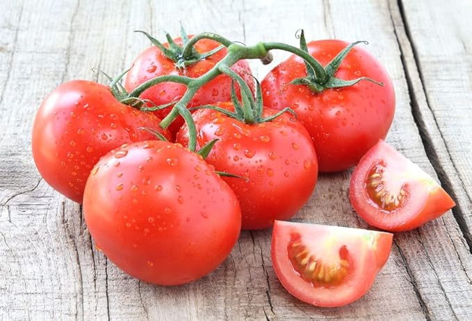 Traditionell Gemüse Pomodoro "Homestead" Samen for Juicy Tomatees
