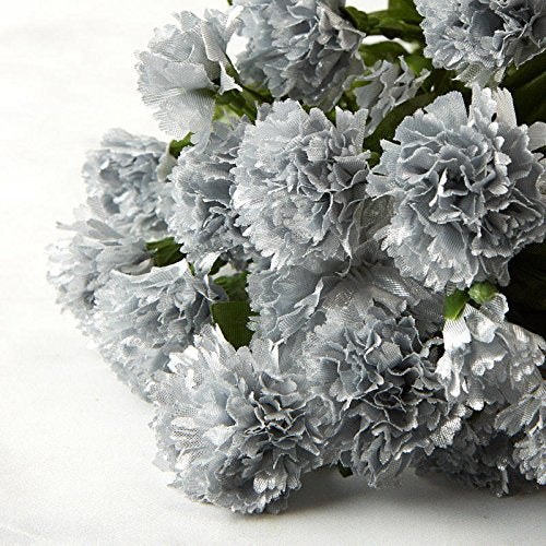 Gray Nelke Blumensamen zur Aussaat leuchtend Traditionssorte & ohne Gentechnik Samen Hausgarten