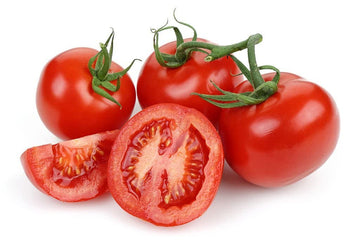 Homestead tomato solanum lycopersicum samen für aussaat in gemüse patch
