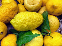 Citron Gemüsesamen for Your Garden
