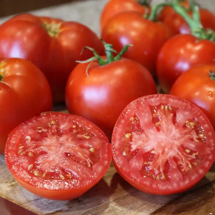 Better Boy Tomate Samen zum Pflanzen vegetable patch