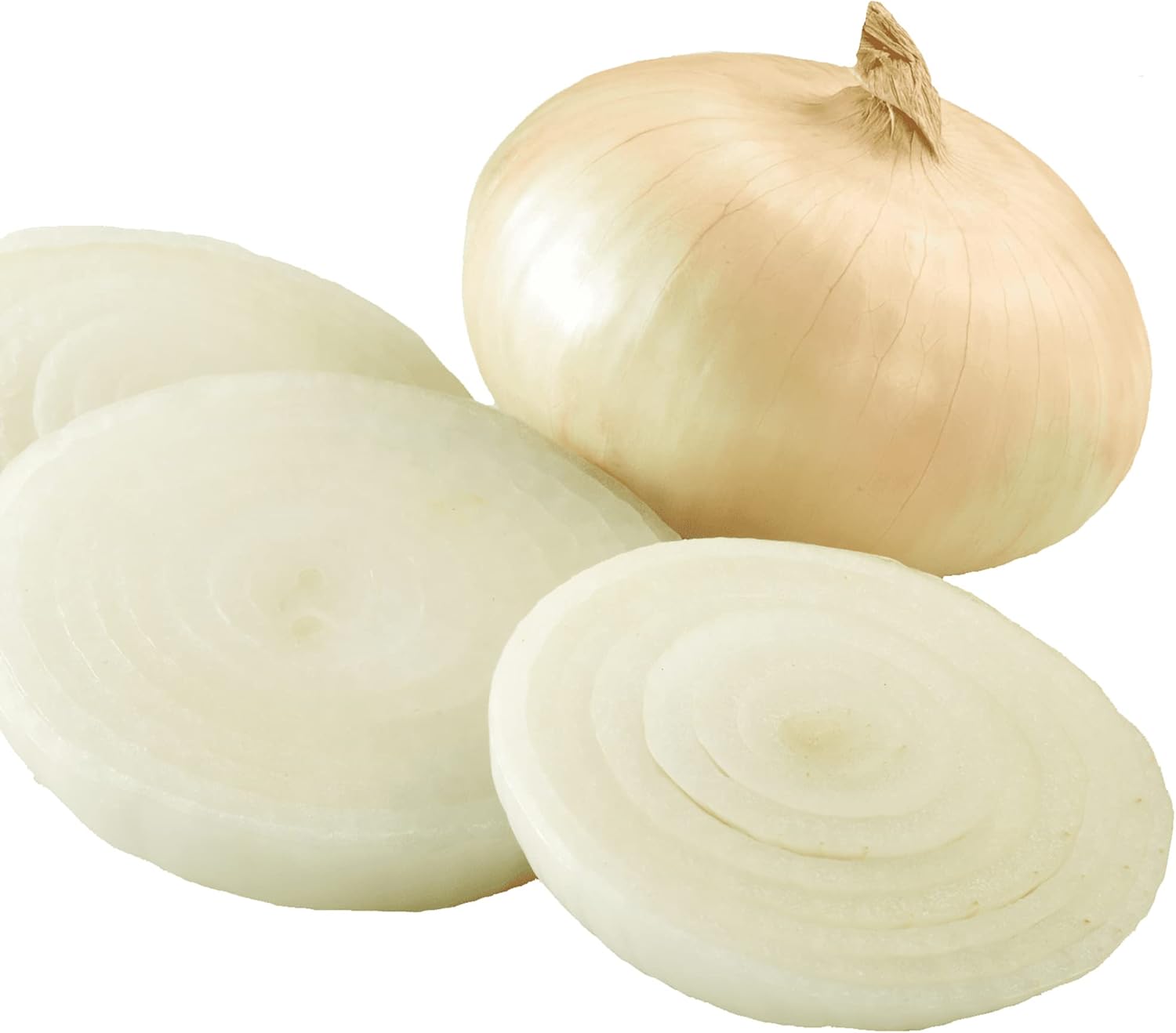 Vidalia onion samen für aussaat - non-gmo traditionelle spring fast wachsend backyard country and
