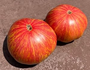 Striped tomato aussaat gemüse samen