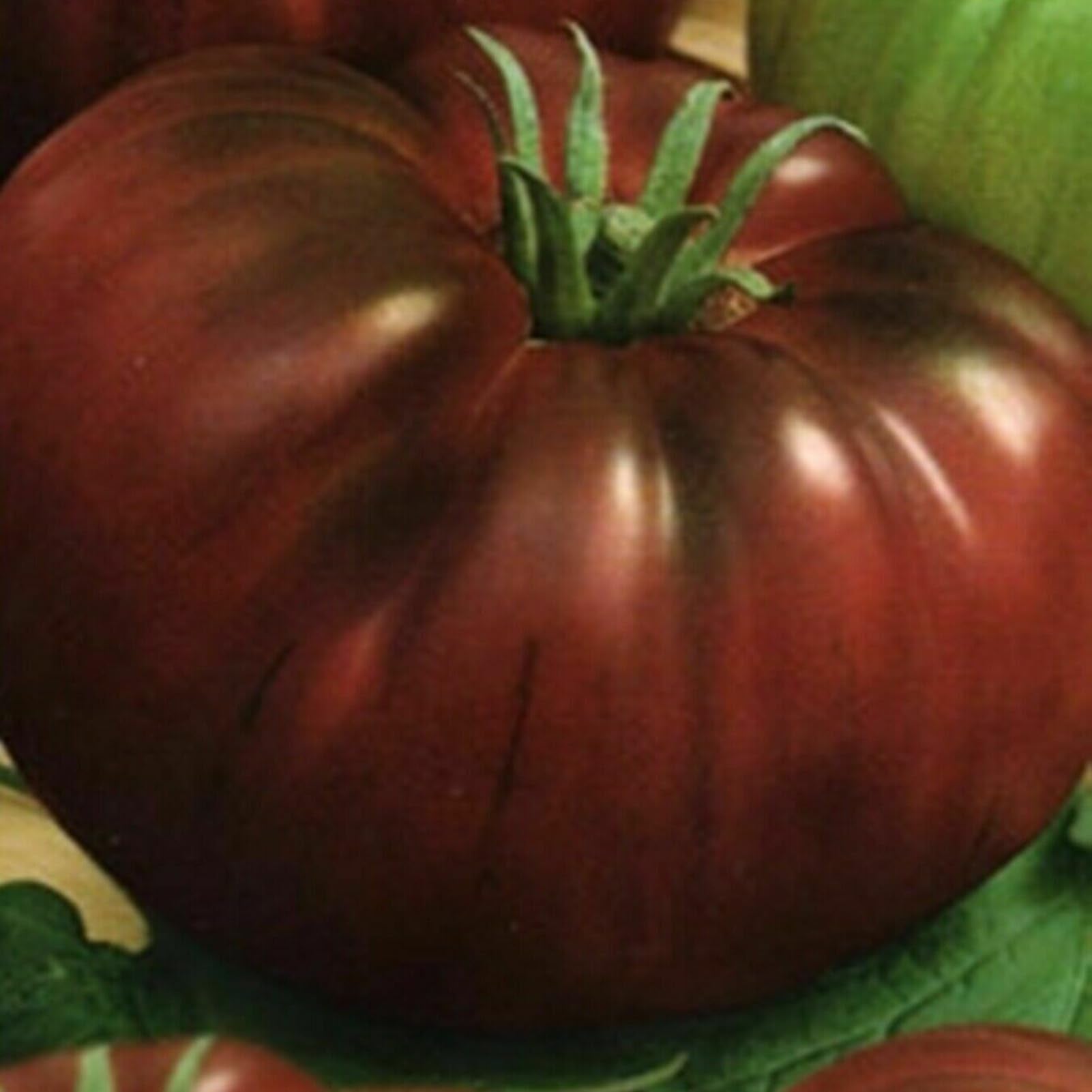 Schwarz Rot Tomate Samen zum Pflanzen