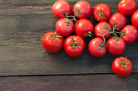 Porter Tomate Samen for Delicious Garden-Fresh Tomatees