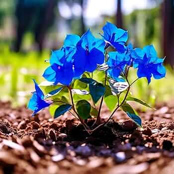 Blau Spectabilis Blumensamen zur Aussaat leuchtend Blüten für Ihren Garten