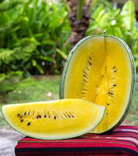 Gelbe Wassermelone für Samen einfaches Anpflanzen