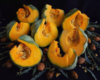 Jarrahdale pumpkin samen für einfachen aussaat gemüse samen