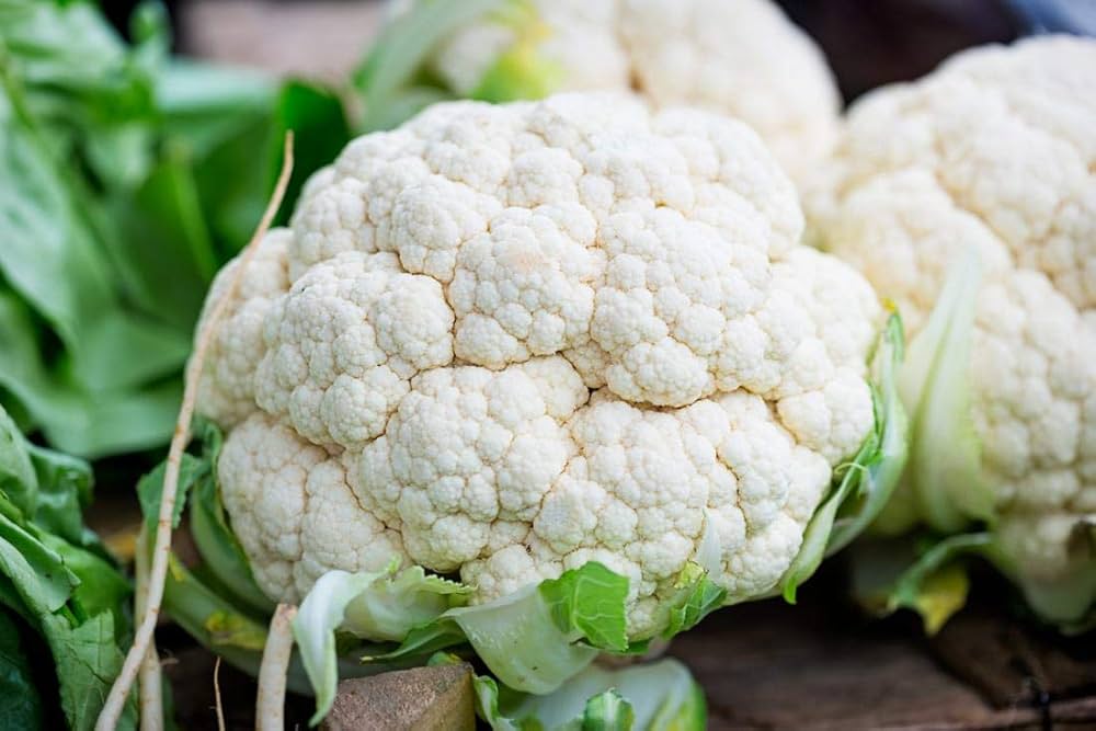 Cauiliflower Andes F1 Samen Robust und Flavorful Cauliflower Garten